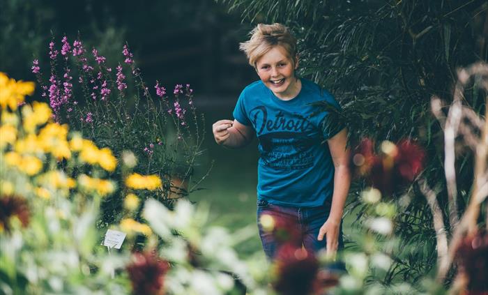 Plant extract were used to dye the wool. Some of those plants are grown in our Dye Garden. The image shows a boy running through the garden, flanked b